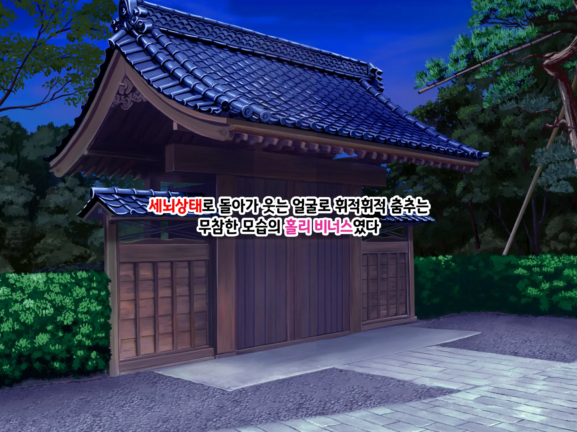 Sou Seisen Hime Holy Knights, Sennou Kaizou Songen Hakai, Seigi No Henshin Hiroin Ga Ganimata Pose De Machi O Osou Hentai Buzama Kaijin Ni Naru Made